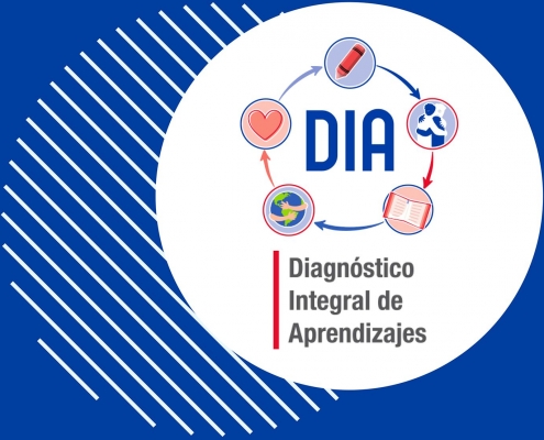 Instructivo para aplicar diagnóstico DIA